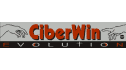 BSMX Business System de México, CiberWin Evolution
