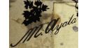 logo de M. Ayala