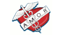 logo de Enfermeras Profesionales A.M.O.R.