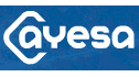 logo de Ayesa México