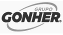 logo de gonhermex