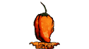 logo Promotora Agroindustrial de Yucatán