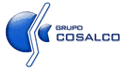 logo Grupo Cosalco México