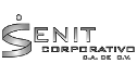 logo de Cenit Corporativo