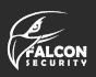 logo Falcón Sistemas de Seguridad