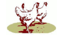 logo Avicultores Unidos