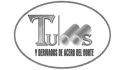 logo de Tubos y Derivados de Acero del Norte