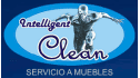 logo Intelligent Clean