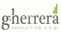 logo G-Herrera Consulting