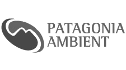 logo de Patagonia Ambient