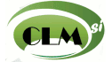 logo de CLM Servicios Integrados