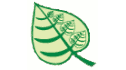 logo Natural Response