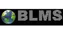 logo Business Language & Marketing Solutions
