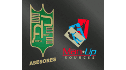 logo Pinedo Acosta Asesores