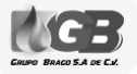 logo de grupo brago