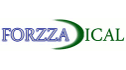 logo de Aerosoles Forzza-Dical