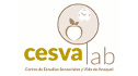 logo Centro de Estudios Sensoriales y Vida de Anaquel
