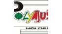 logo de Polyajuste Moldes