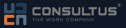 logo Consultus Pro