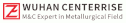logo de Wuhan CenterRise M&C Engineering CO.