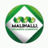logo Malinalli Espirulina