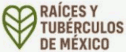 logo Raíces y Tubérculos de México