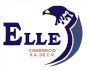 logo Consorcio Elle
